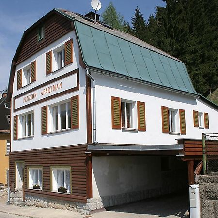 Penzion Apartman Janov Янов-над-Нисоу Экстерьер фото